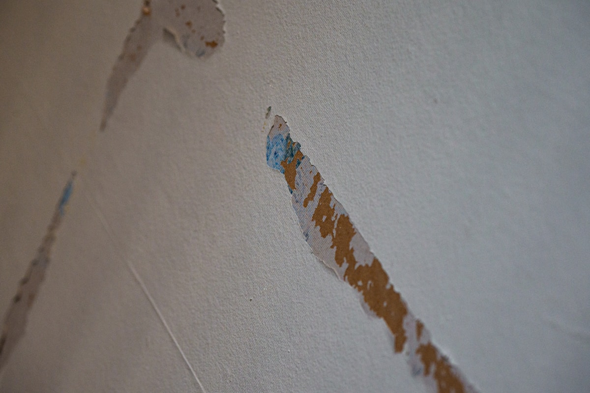 Mold Remediation service in Port Charlotte, FL